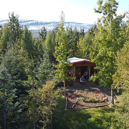 Bakkakot 1 - Cozy Cabins In The Woods Акурейри Экстерьер фото